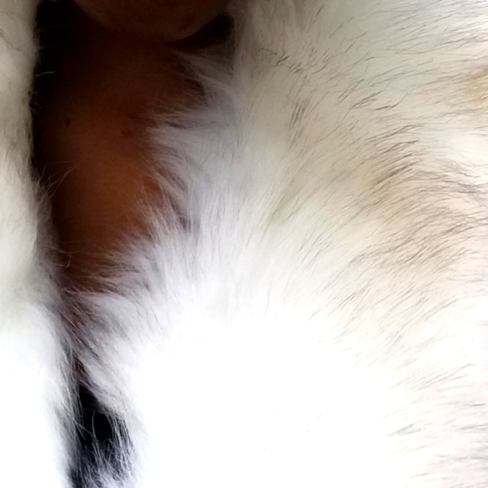 đ¤Luxurious Cream & Brown faux fur scarfđ¤ - Picture 10 of 16
